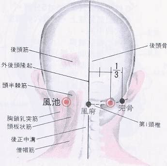 風是穴|醫砭 » 經穴庫 » 風府